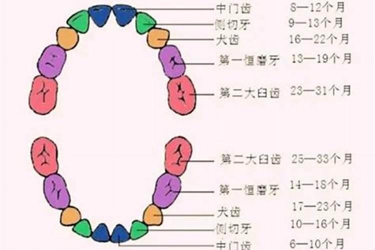 梦见掉牙啦好不好呀