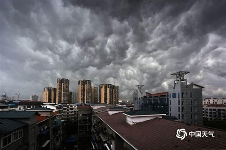 梦见暴雨来临前的景象