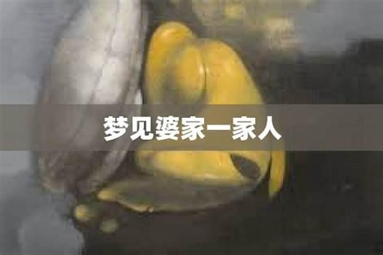 梦见婆家一家人不理我了啥意思