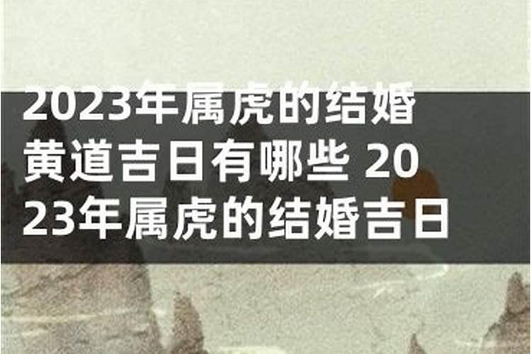 1.24什么星座