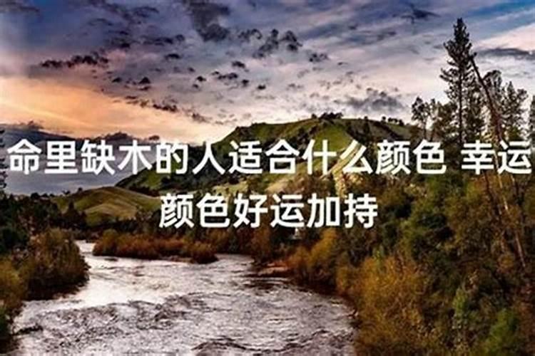 做梦梦见打架是什么意思