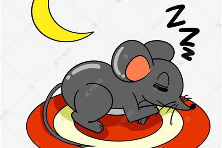 梦见老鼠睡在旁边预示着什么意思呢