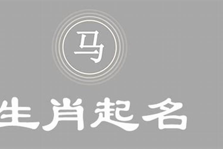 属马的宝宝取名字宜忌