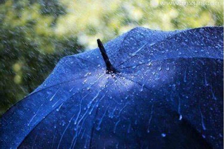 女人梦到下雨打雨伞什么预兆呢