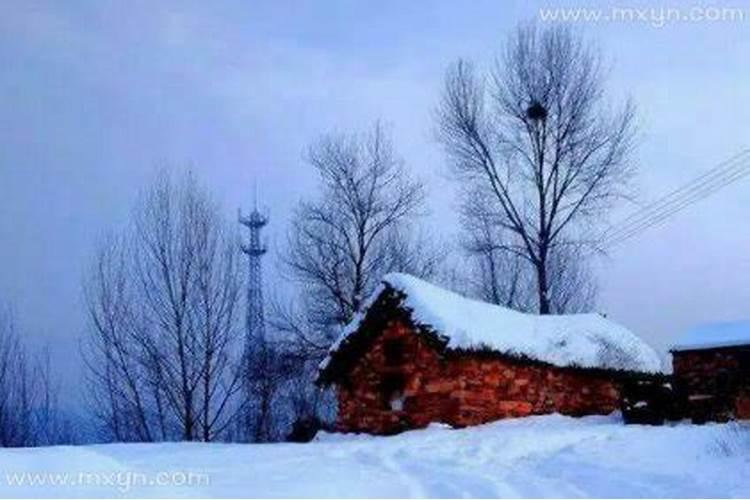 梦见地震后下了大雪什么征兆