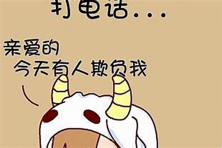 如日中天是指什么生肖