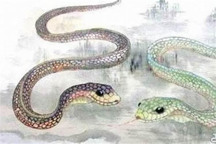 属蛇1953年寿命有多大了