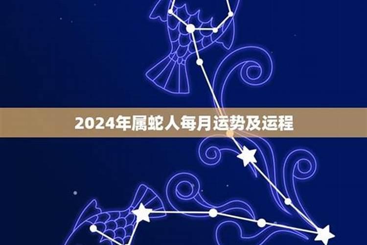 属蛇人在2021年每月运程如何