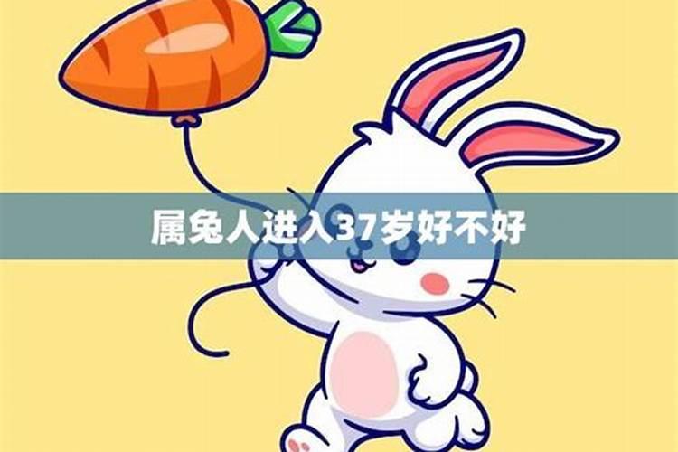 属兔人45岁好不好