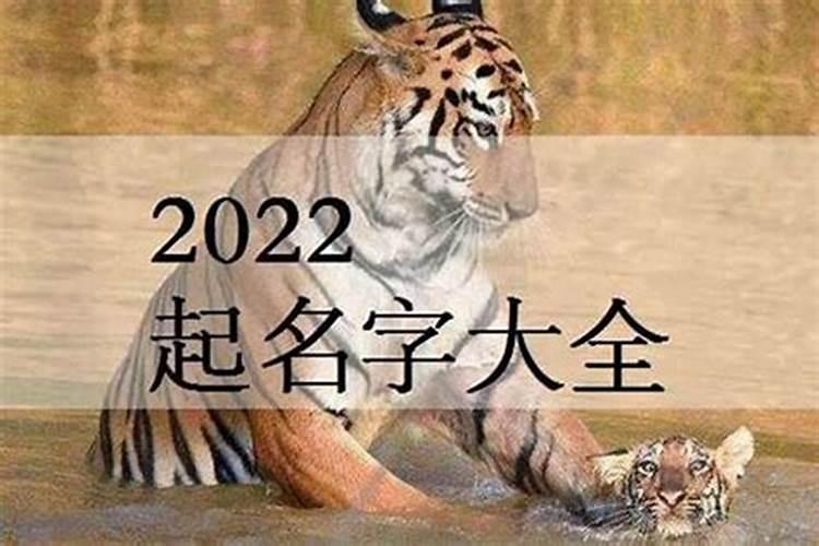 2022年属虎起名用什么字好听