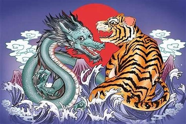 梦见老虎和龙一起在水里走