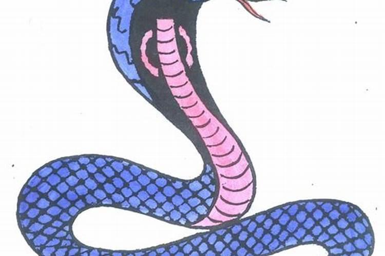 生肖蛇1953年最倒霉的年龄