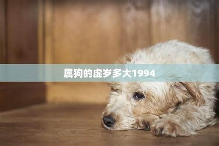 1994属狗今年虚岁多少岁了