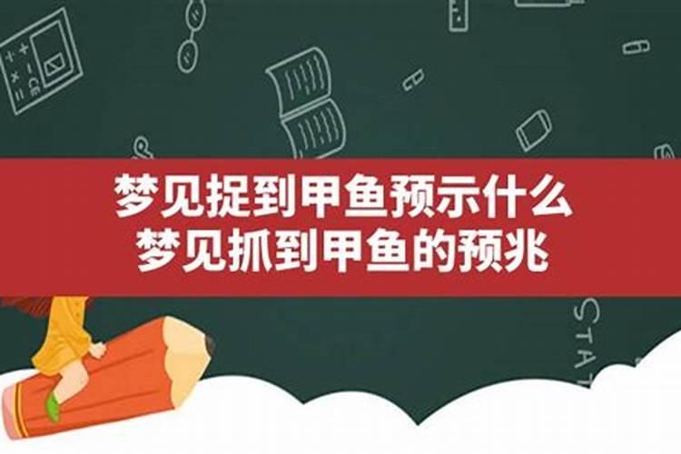 梦见死甲鱼、甲鱼死预示将来会发生什么