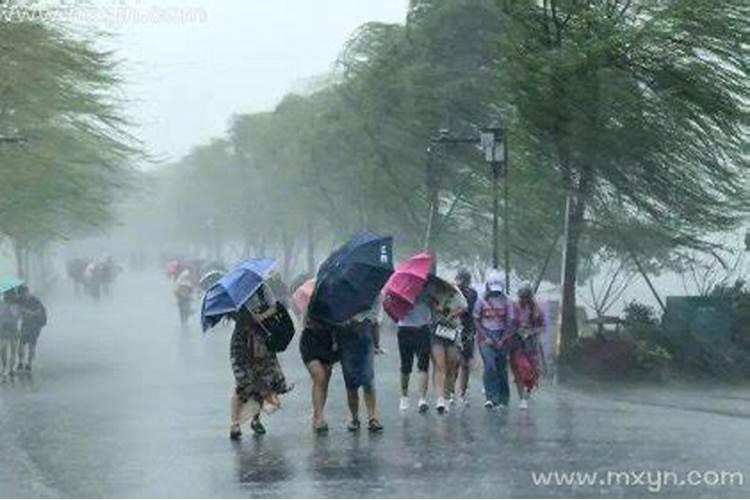 梦见下大暴雨是什么预兆呢