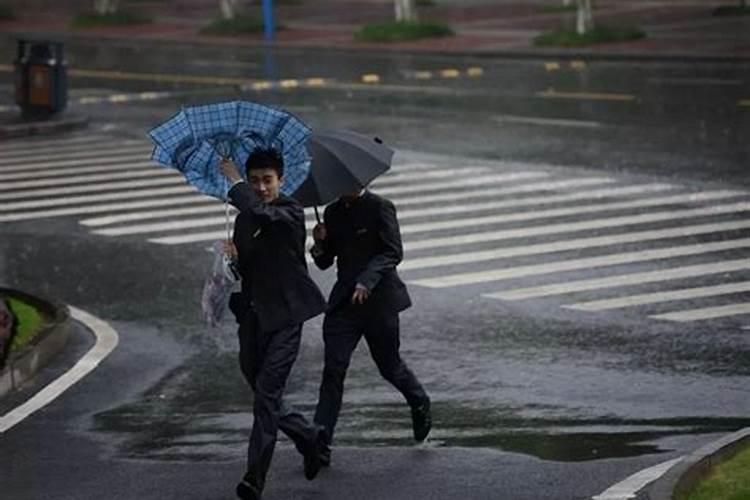 梦见在大暴雨中走路回家