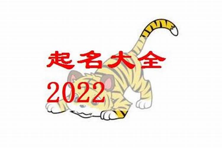 2022年属虎宝宝起名