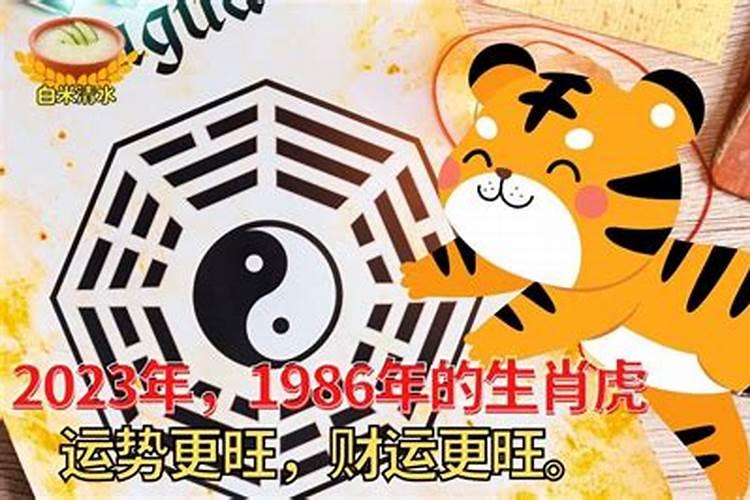 1986年出生的属虎