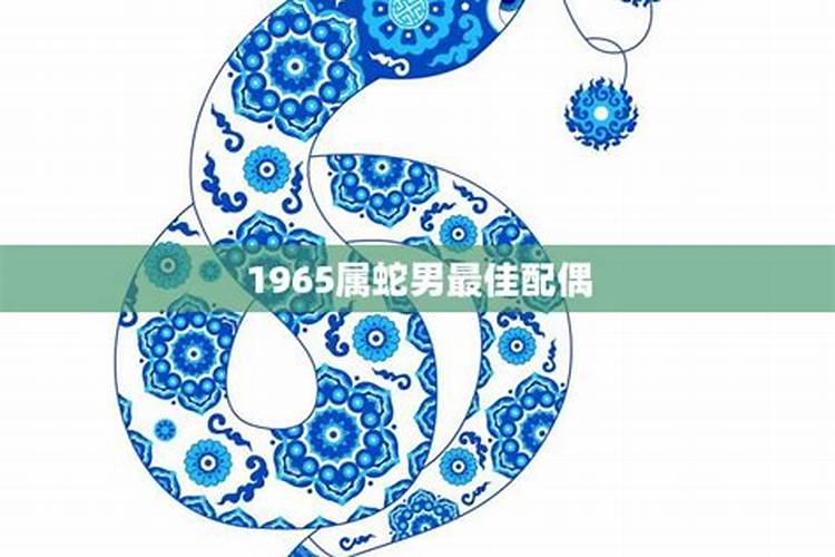 1965属蛇男人最佳妻子是谁