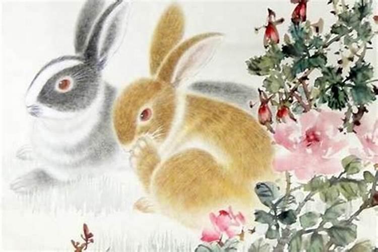 1951年属兔的今年多少周岁