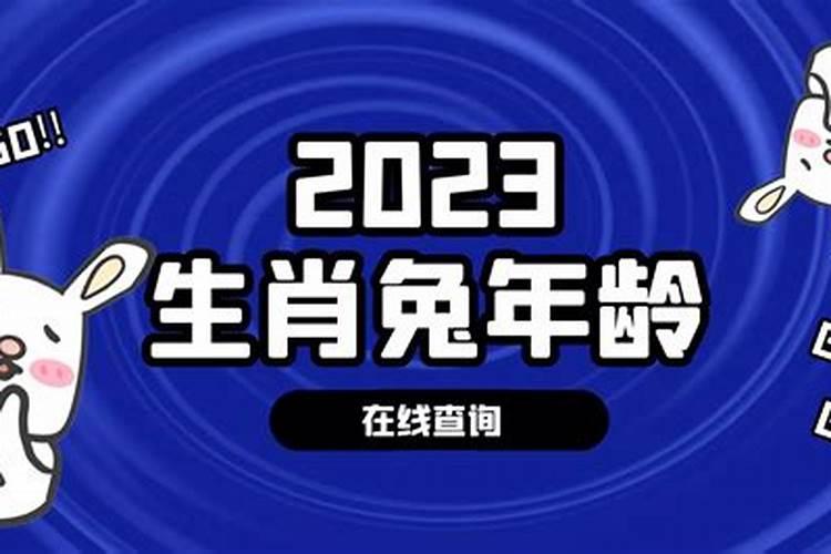 1951年属兔今年多大