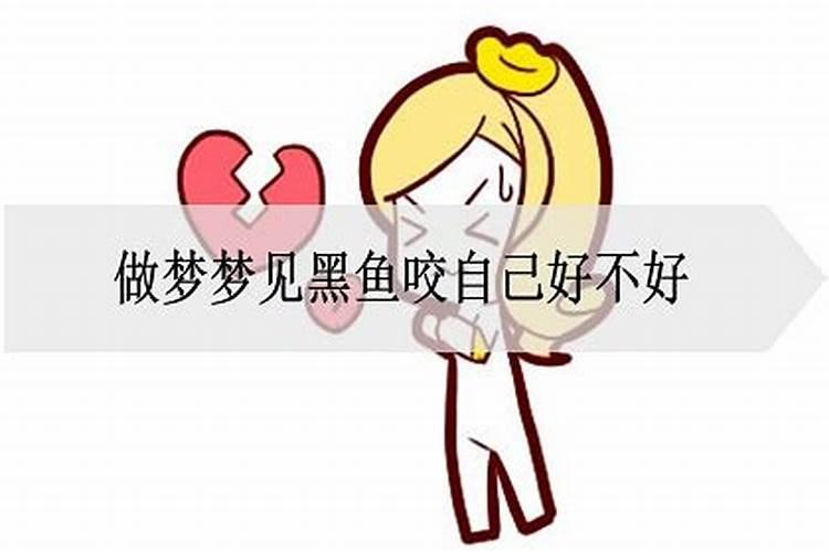 梦见一群黑鱼咬我