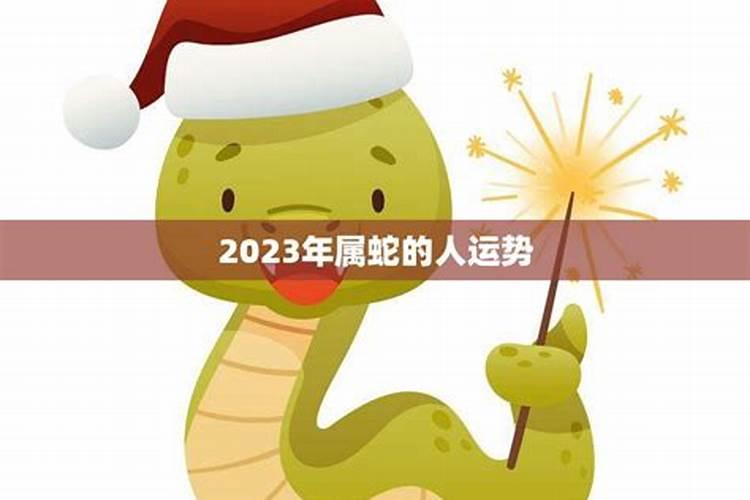 属蛇之人2022年运势